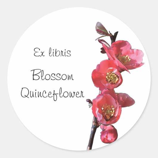 Roze kweepbloemen bookplate sticker (Voorkant)