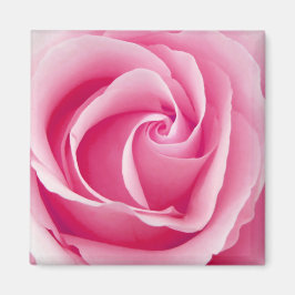 Roze Lady Roos Magnet - Square Magneet