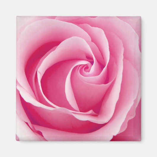 Roze Lady Roos Magnet - Square Magneet (Voorkant)