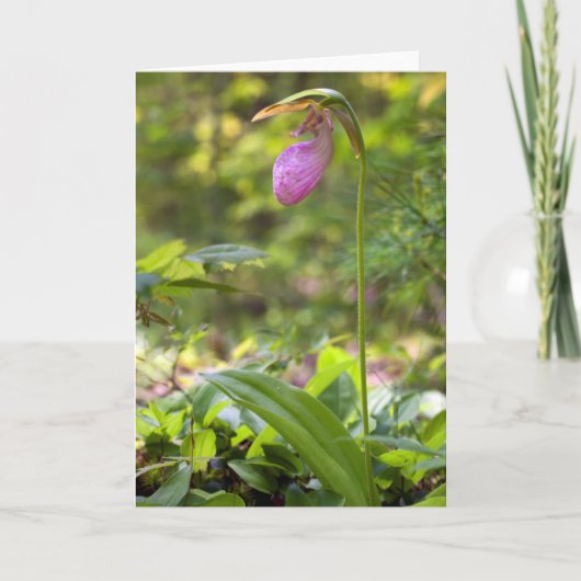 Roze Lady Slipper Blank Note Kaart (Voorkant)