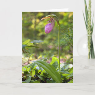 Roze Lady Slipper Blank Note Kaart