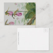 Roze Lady Slipper Flat Notecard Notitiekaartje (Voorkant / Achterkant)