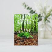 Roze Lady Slipper wild Orchid Briefkaart (Staand voorkant)