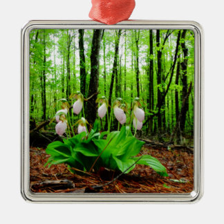 Roze Lady Slipper wild Orchid Metalen Ornament