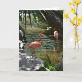 Roze lamingos kaart (Gele Bloem)