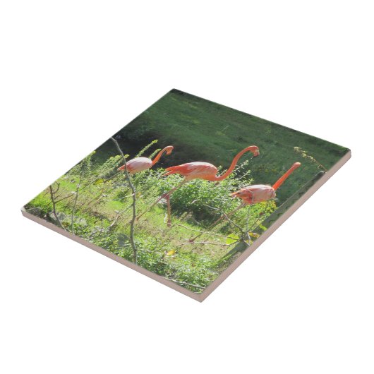 Roze lamingos tegeltje (Zijkant)