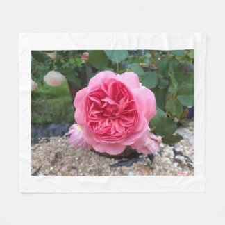 Roze landelijke roos bloemende fleece deken