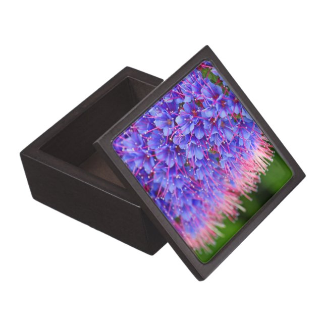 Roze lashes Premium Gift Box Juwelen Doos (Geopend)