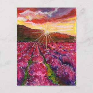 Roze Lavendel Veld Frankrijk Provence Feestdagenkaart