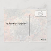 Roze ledemaat (Diodora aspera) Shell Briefkaart (Achterkant)