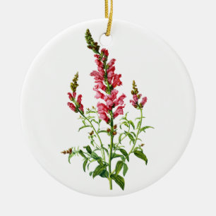 Roze Leeuwenbek Getekend Naar De Natuur Keramisch Ornament