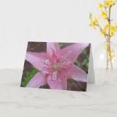 Roze Lelie na een douche Kaart (Gele Bloem)