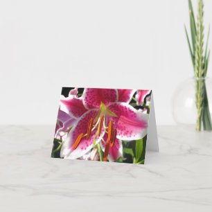 Roze lelie roze bloem roze bloem tropische bloem kaart