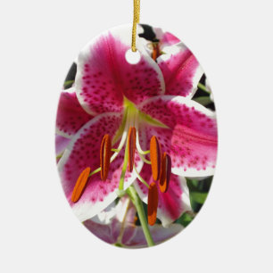 Roze lelie roze bloemenroze bloem tropische bloem keramisch ornament