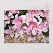 Roze lelies en hortensia briefkaart (Voorkant)