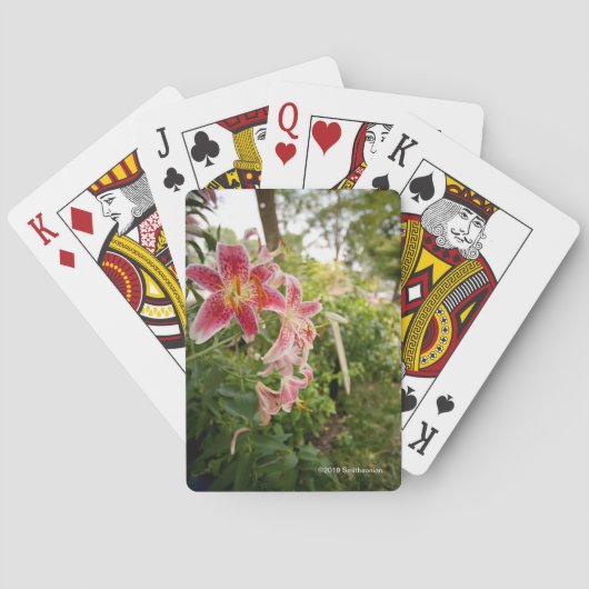 Roze Lelies Pokerkaarten (Achterkant)