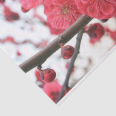 roze lentbloem tissuepapier (Detail)