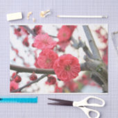 roze lentbloem tissuepapier (Craft)