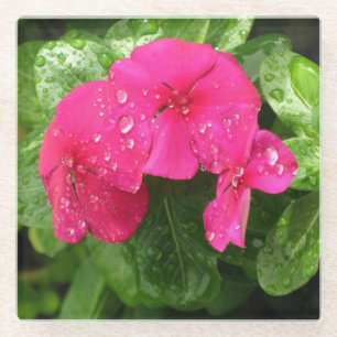 roze lentbloemen macrofotografie glazen onderzetter