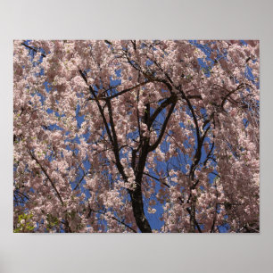 Roze lente bloem Umbrella Blue Sky Poster