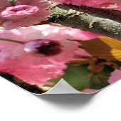 Roze lente bloesems poster (Hoek)