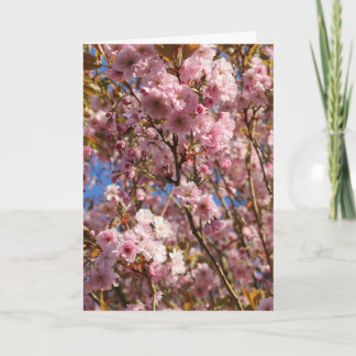 Roze lente kersenbloesem kaart