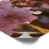 Roze lente kersenbloesem poster (Hoek)