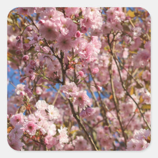 Roze lente kersenbloesem vierkante sticker