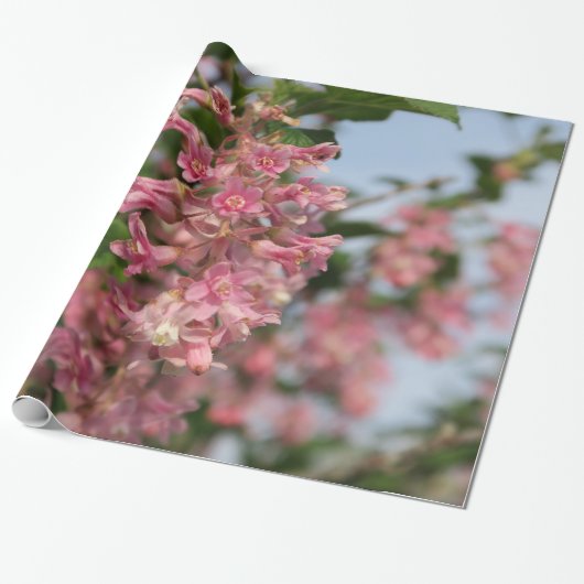 roze lentebloem cadeaupapier (Uitgerold)