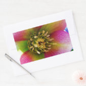 Roze Lenten-Roos, Rechthoekige Sticker (Envelop)