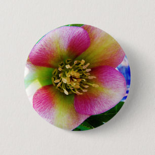 Roze Lenten-Roos, Ronde Button 5,7 Cm
