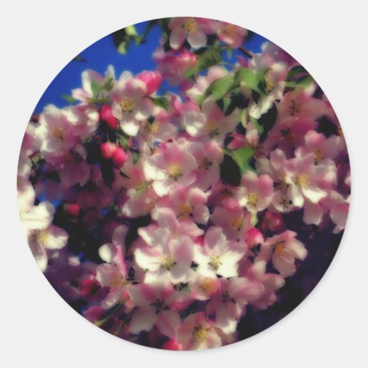 Roze lentesbloem ronde sticker (Voorkant)