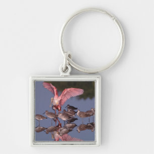 Roze Lepelaar met Willets in ondiep water Sleutelhanger