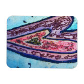 Roze liefde Kunst Inspirerend vriend Magnet Magneet (Horizontaal)