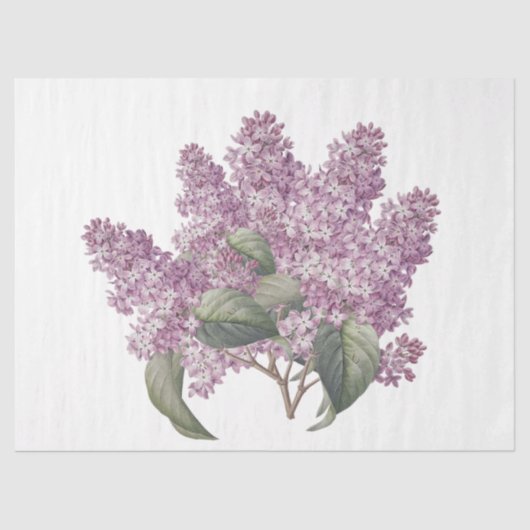  - roze Lila Bouquet - losblad Tissuepapier (Voorkant)