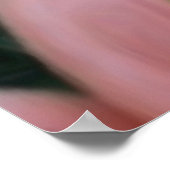 Roze Lily Flowers Poster (Hoek)