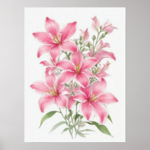Roze Lily Flowers Poster