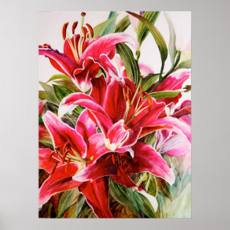 Roze Lily Original Botanical Print Canvas Poster