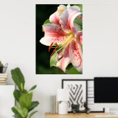 Roze Lily! Poster (Thuiskantoor)