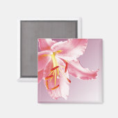 ROZE LILY SQ magneet (Voorkant / Achterkant)