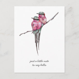 Roze Long Tailed Kolibries Denken aan jou Briefkaart