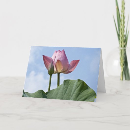 Roze Lotus Bedankt Card (Voorkant)