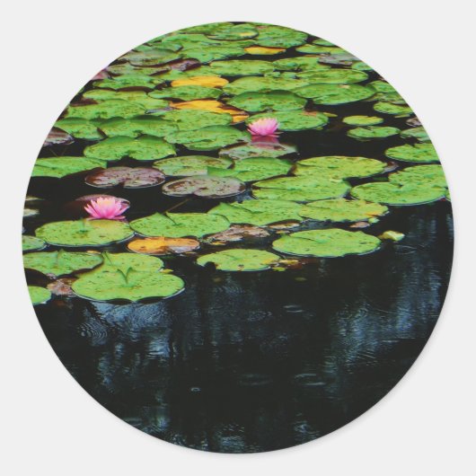 roze lotus black ronde sticker (Voorkant)