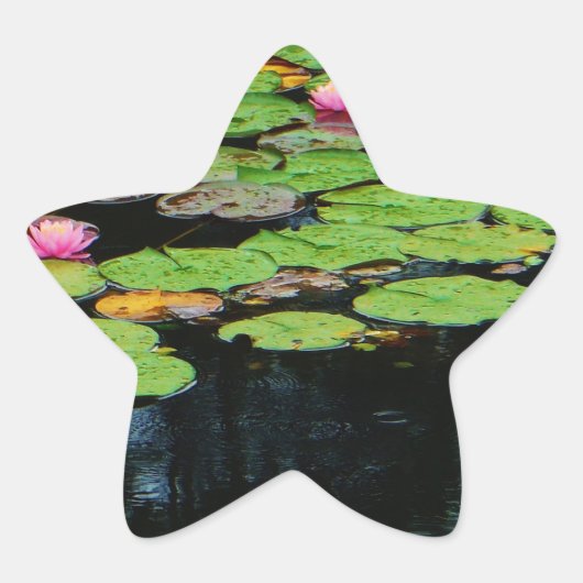 roze lotus black ster sticker (Voorkant)