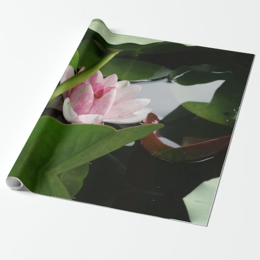 Roze Lotus bloem foto inpakpapier (Uitgerold)