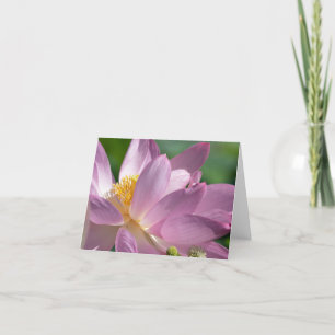 Roze Lotus Bloem Gevouwen Dank u kaart