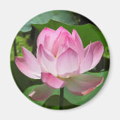 Roze Lotus Bloom Magneet (Voorkant)