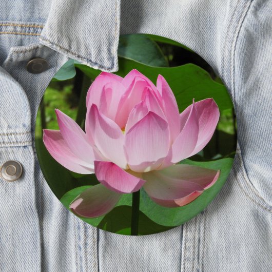 Roze Lotus Bloom Ronde Button 6,0 Cm (In situ)