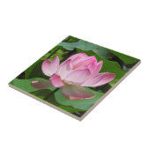 Roze Lotus Bloom Tegeltje (Zijkant)