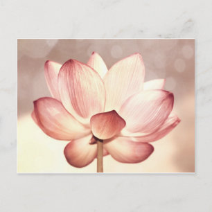 Roze Lotus Blossom Briefkaart